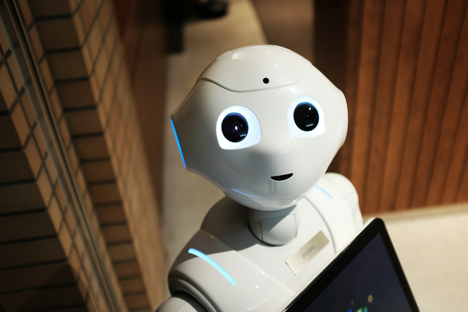 Calibration capteur et effecteur sur banc RoboStrike